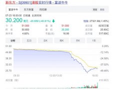 新东方港股大跌超40% 新东方在线跌28%