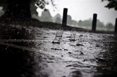 辽宁多地现强降雨2万余人转移避险：这份暴雨洪涝防御指南赶快掌握