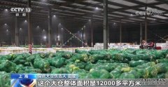 保障居民蔬菜供应 上海浦东新区启用应急保供大仓